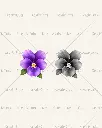 Februar_Flower_Depth_300dpi.webp