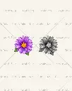 September_Flower_Depth_300dpi.webp
