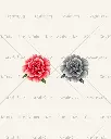 Januar_Flower_Depth_300dpi.webp